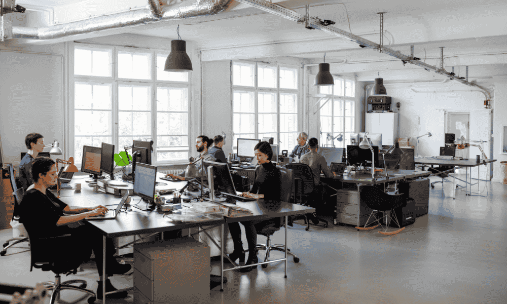 a group of workers in a growing office